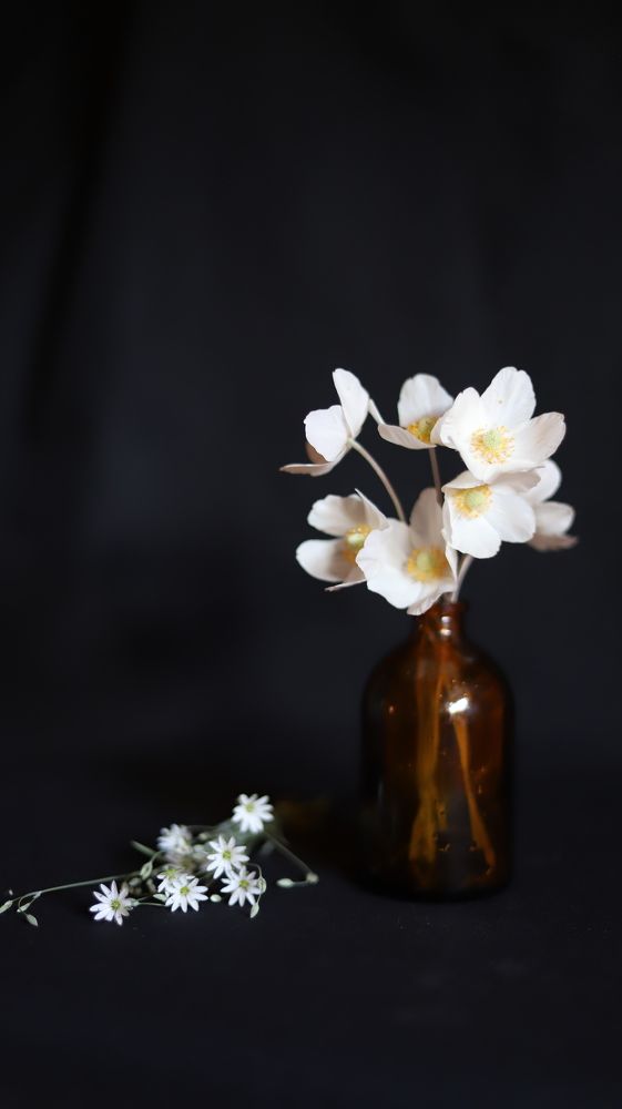 Photograph by Марина Ноговицына