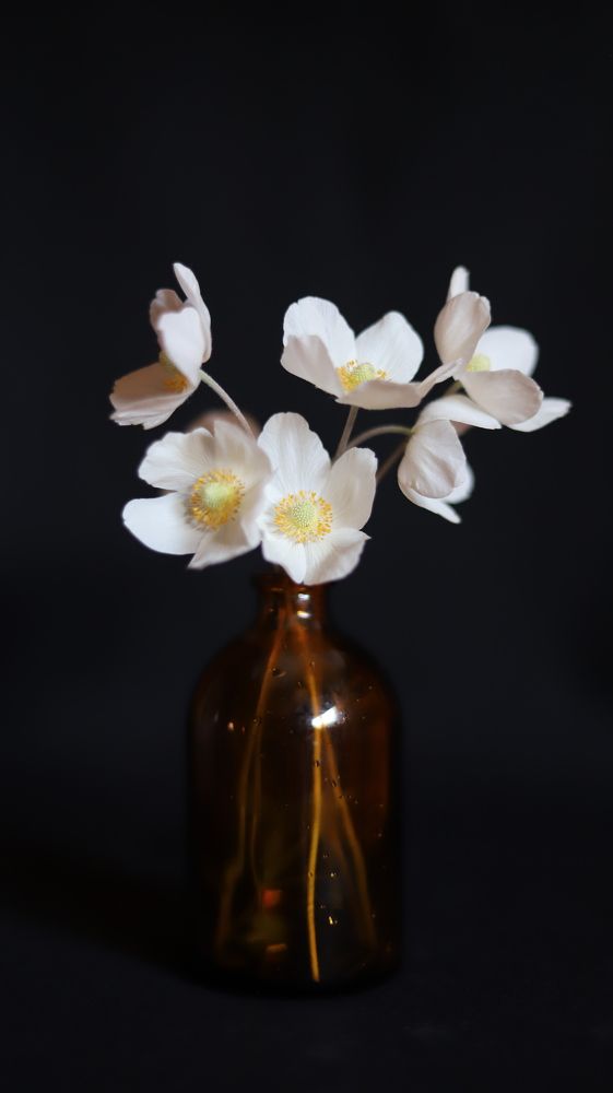 Photograph by Марина Ноговицына