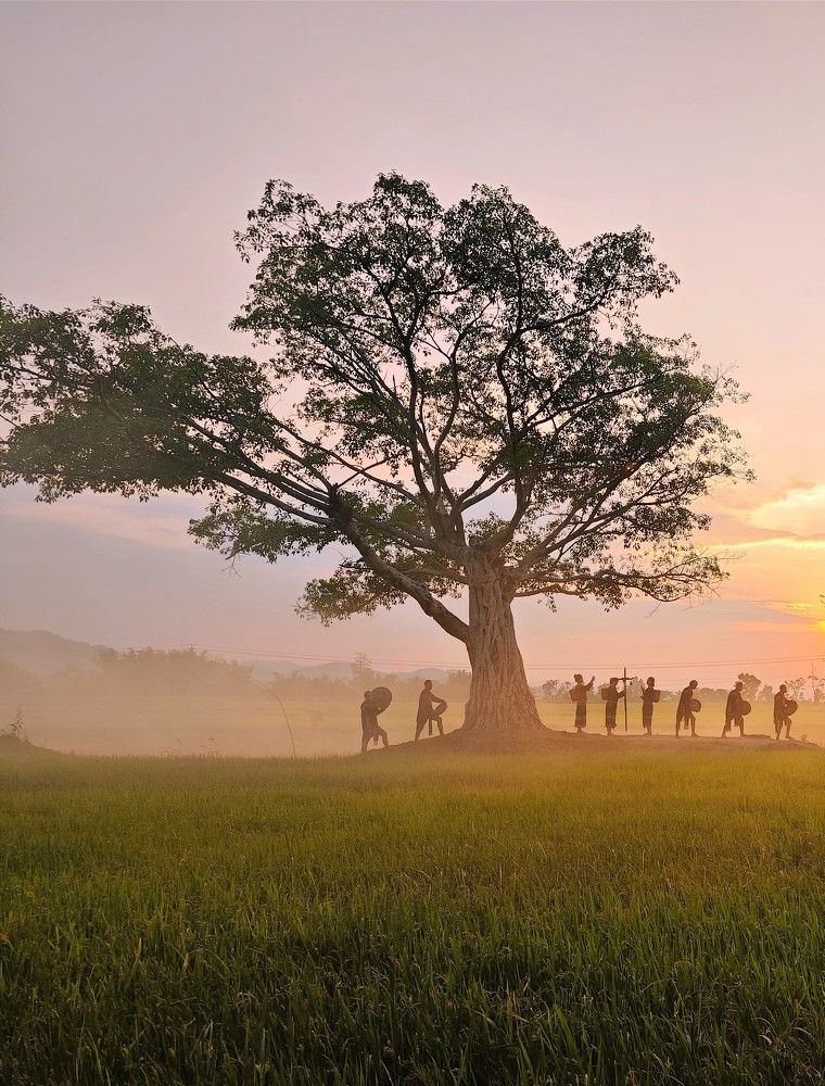 Photograph by Tran Phuong
