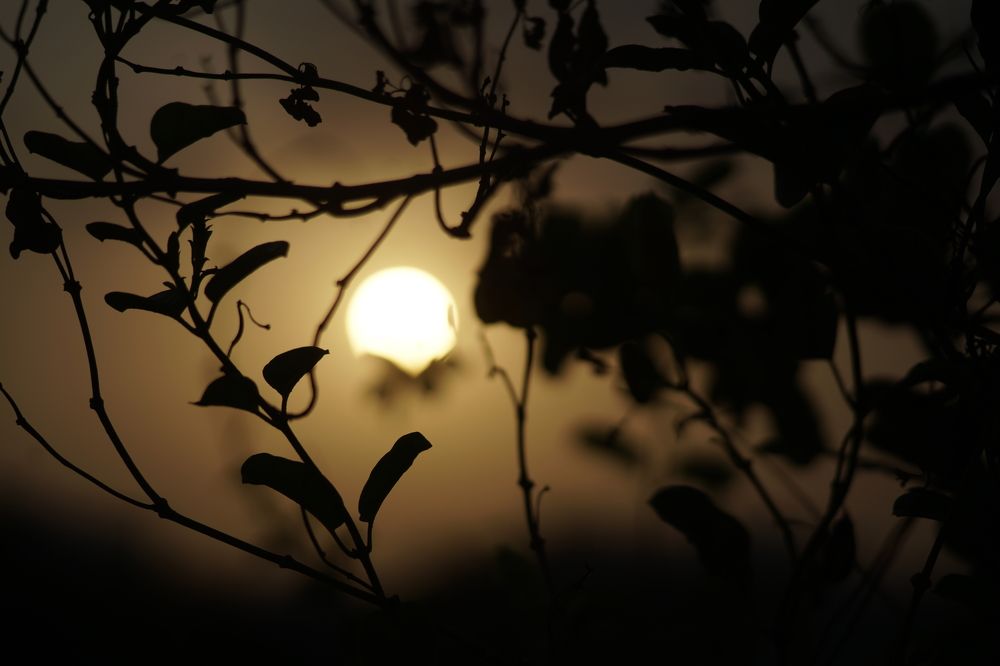 Photograph by Pihu chudasama