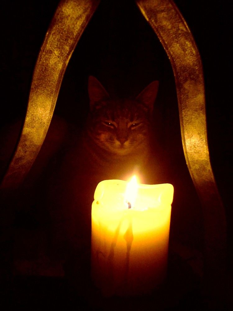 Photograph by Дмитрий Соколов