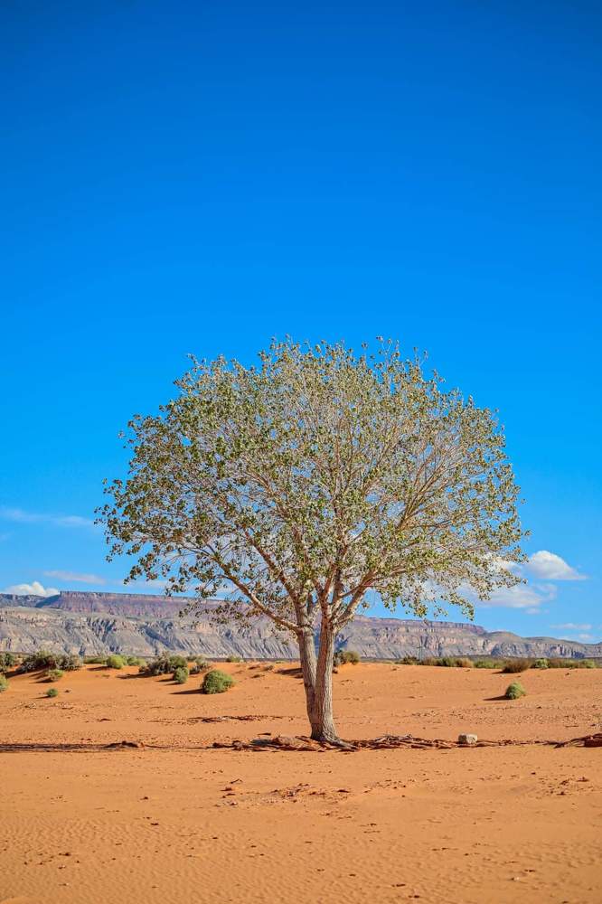 Photograph by Daria Osipova