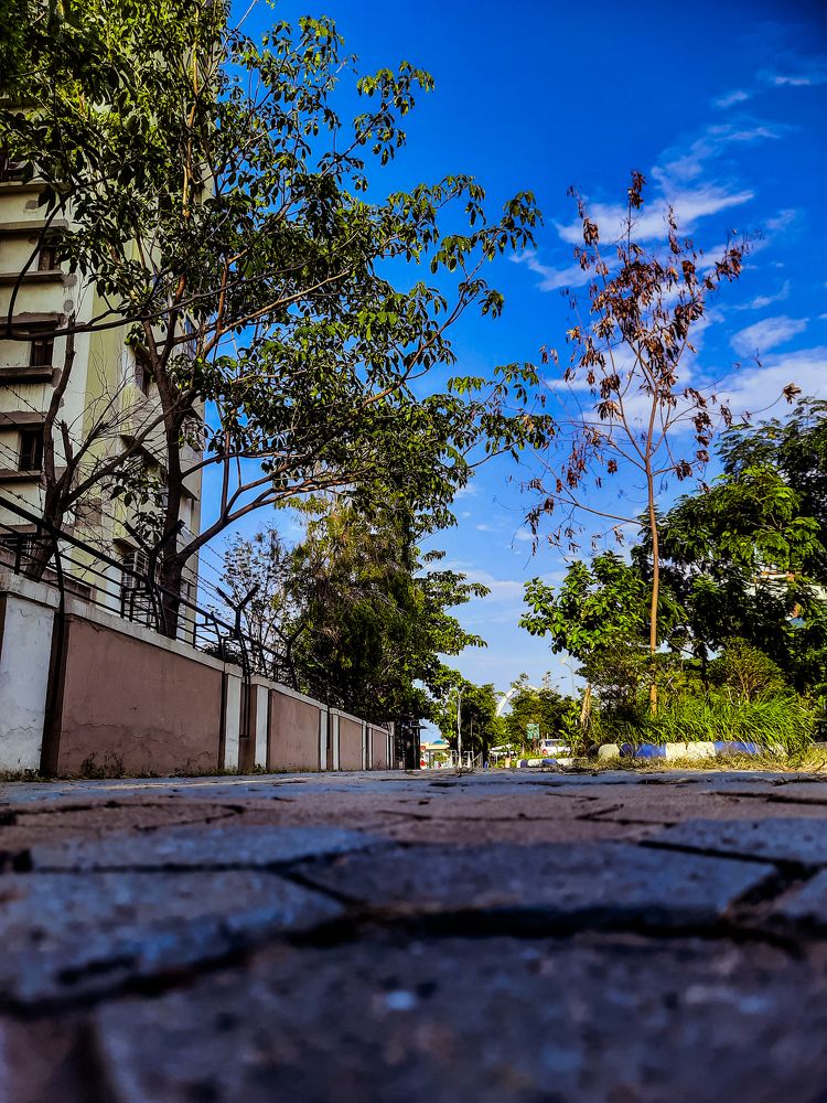 Photograph by Arindam Mullick