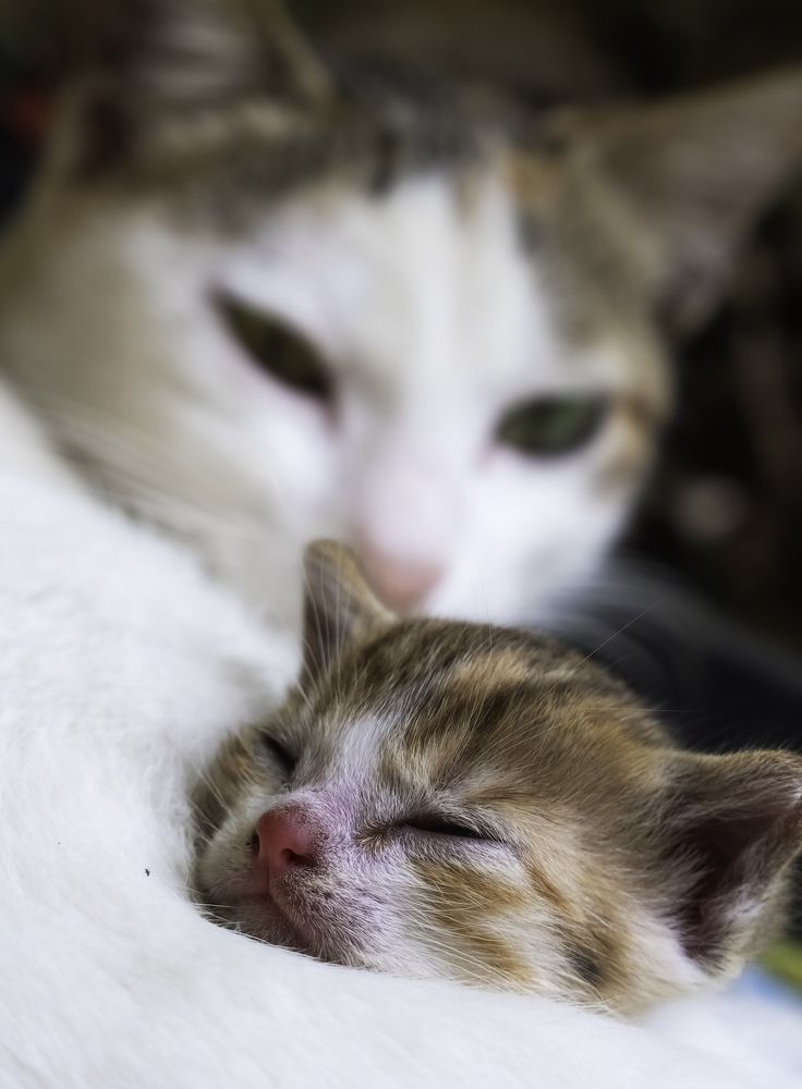 Photograph by HEMAMALI GUNASEKARA