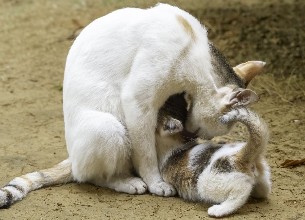 Photograph by HEMAMALI GUNASEKARA