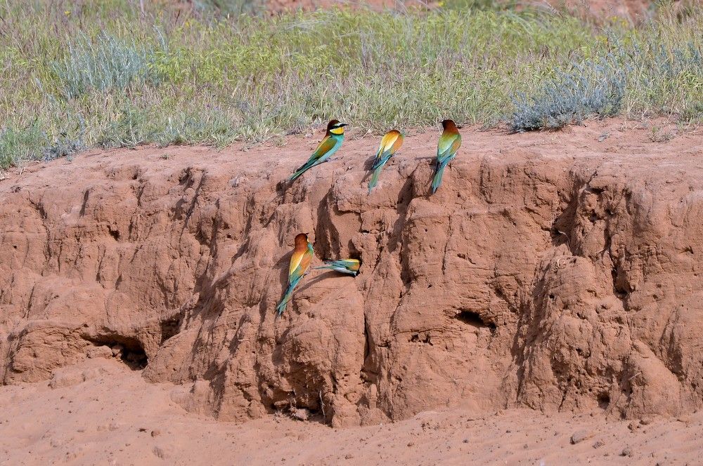 Photograph by Наталия Захарова