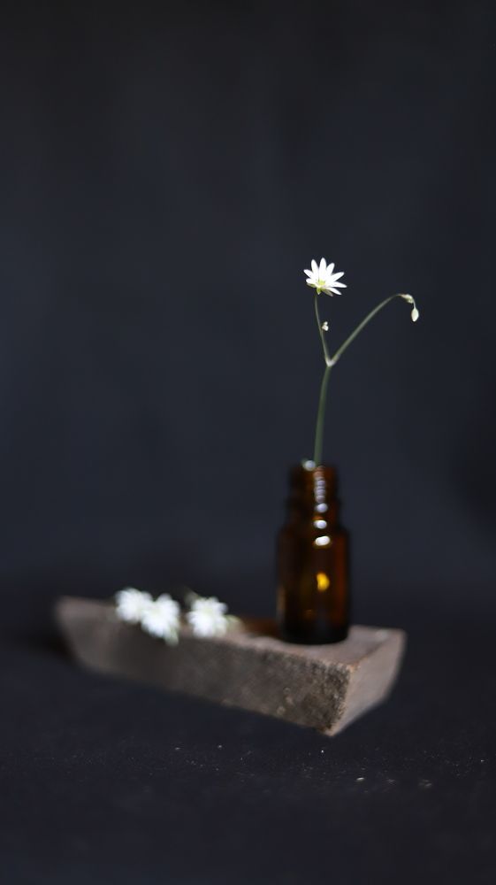 Photograph by Марина Ноговицына