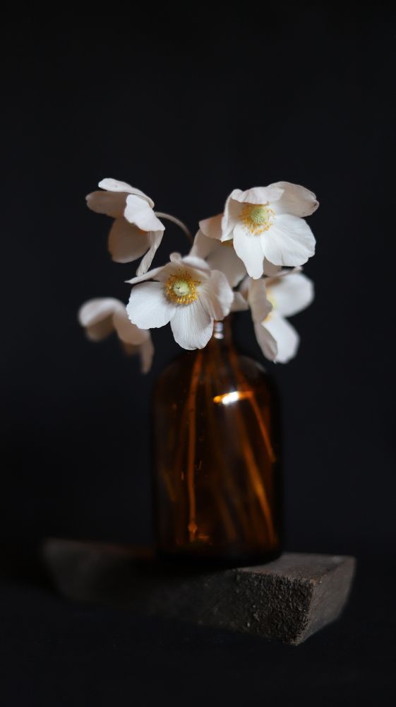 Жизнь в капкане