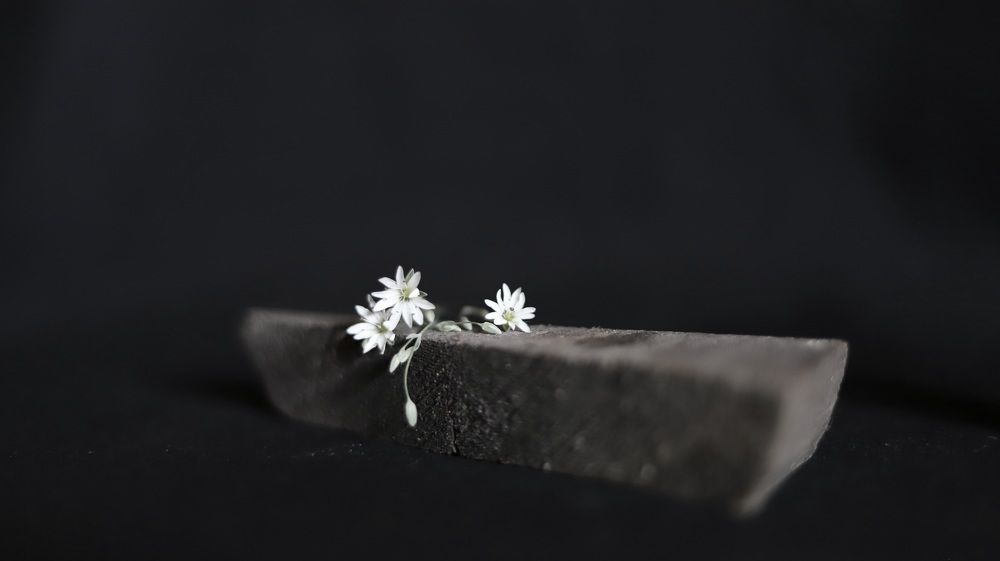 Photograph by Марина Ноговицына