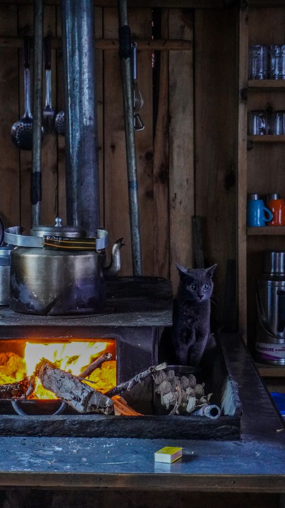 Photograph by Seyed-Sajad Hamedheydari