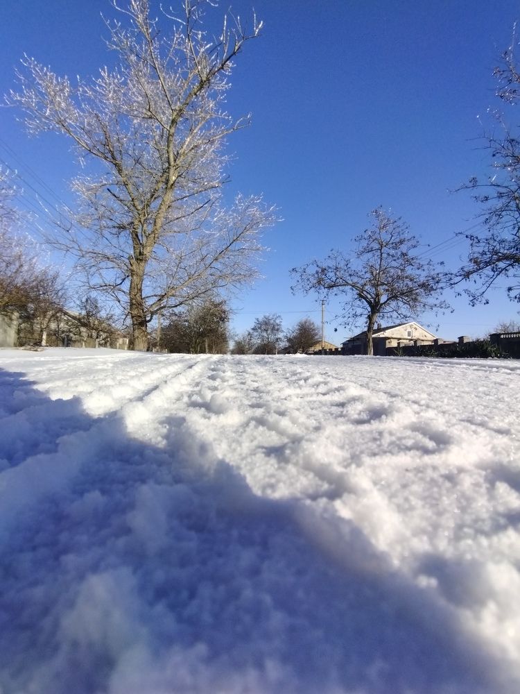 Первый снег. Февраль 2024