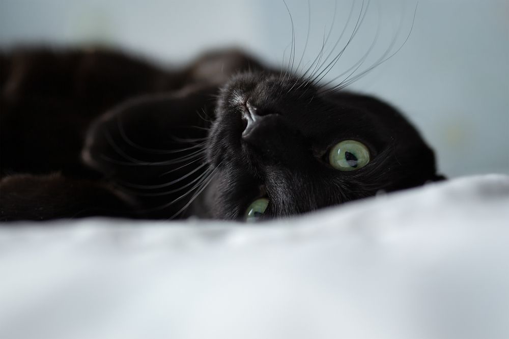 Photograph by Анжелика Соловьева