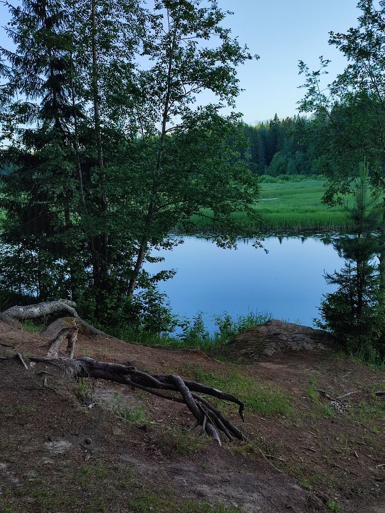 Photograph by Шило Сергей