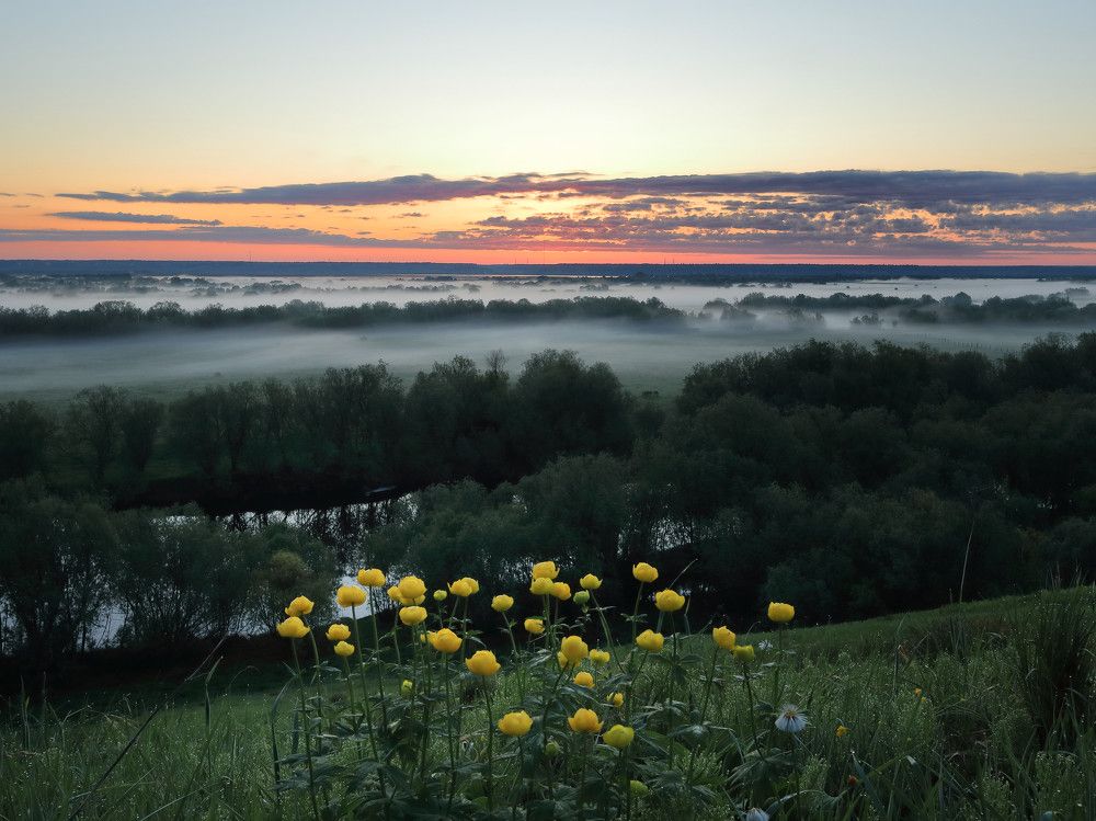 Photograph by Титов Александр