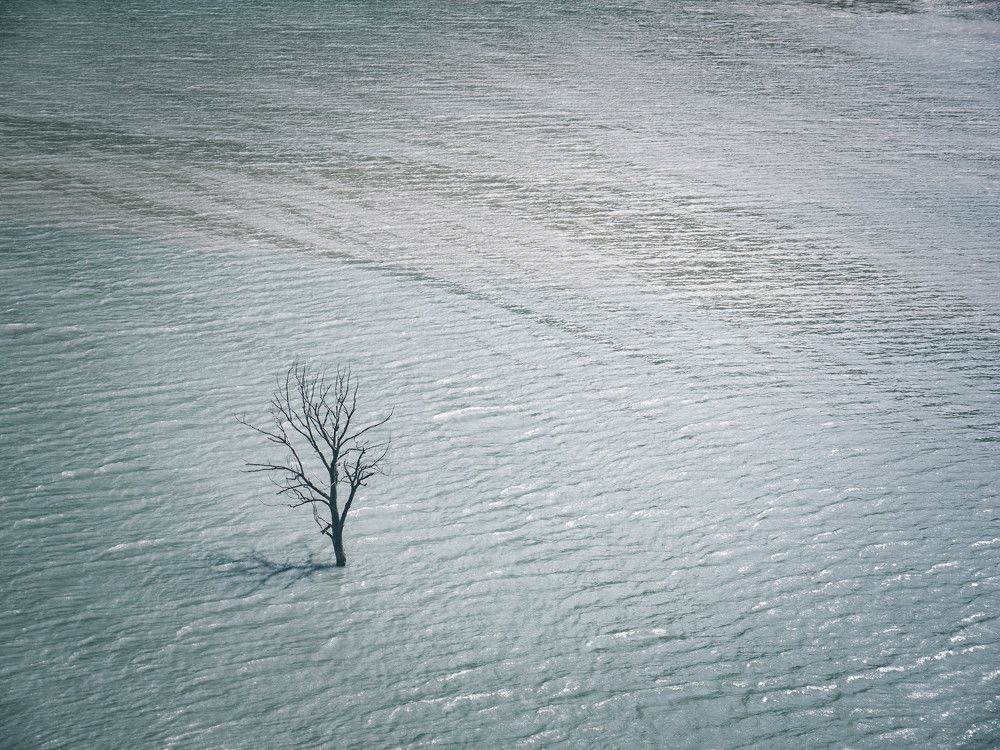 Photograph by Виктория Максюта