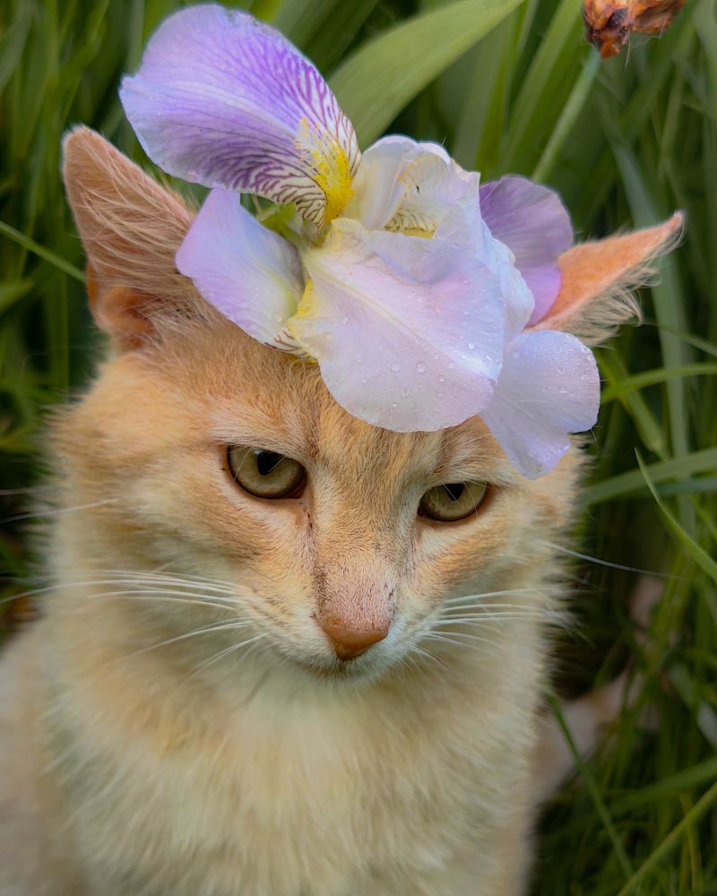 Photograph by Наталья Балабанова