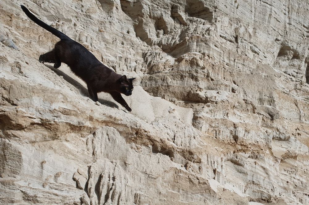 Фотография автора Надежда Лисицына