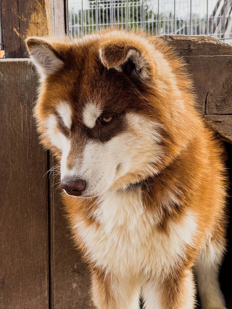 Photograph by Виктория Максюта