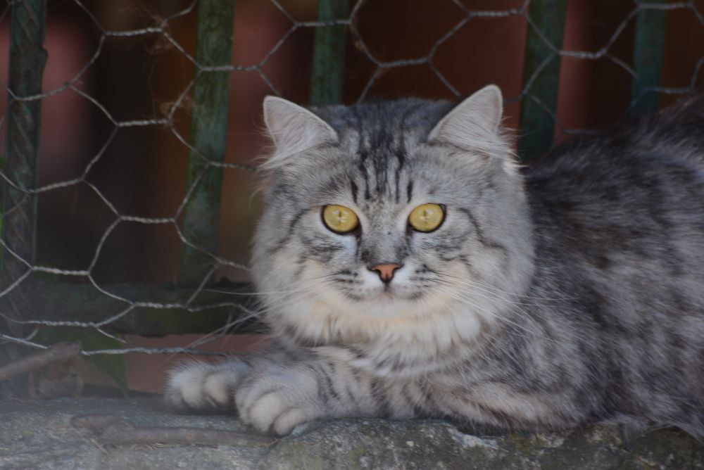 Photograph by Gülşen  Mutlu