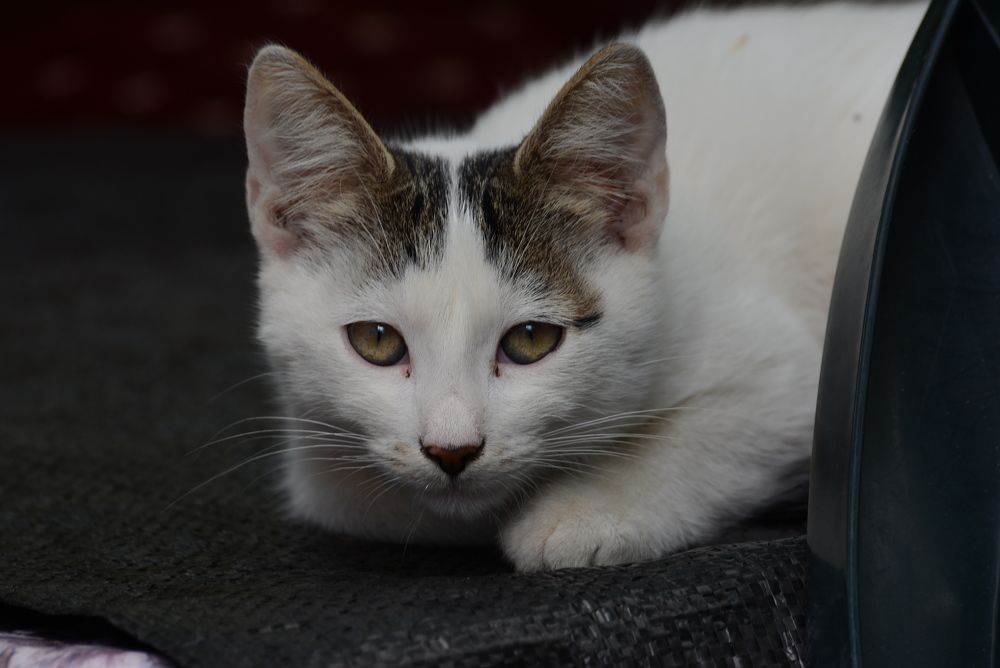 Photograph by Gülşen  Mutlu