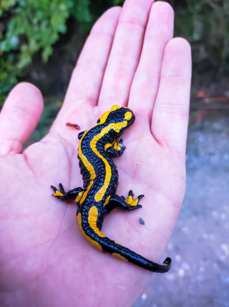 Photograph by Olga Dz