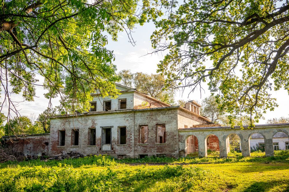 Photograph by Ольга Белопухова