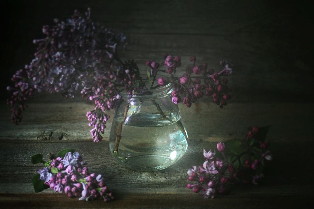 Photograph by Vitaliy Saposhnikov