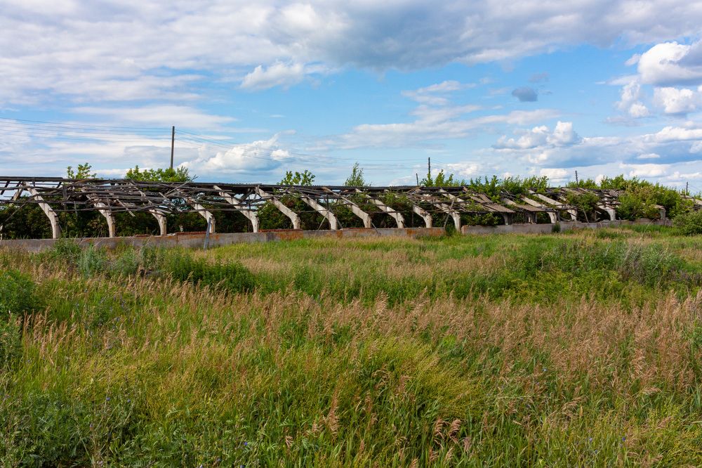 Photograph by Сергей Щербаков