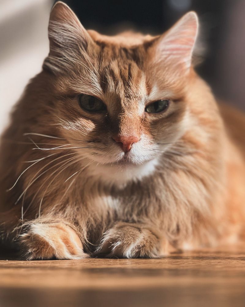 Photograph by Михаил Крупко