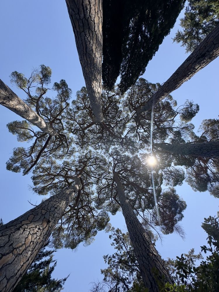 Фотография автора Денис Коваленко