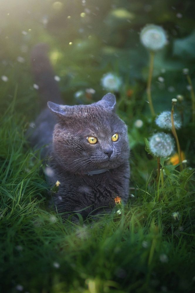 Photograph by Татьяна Максакова