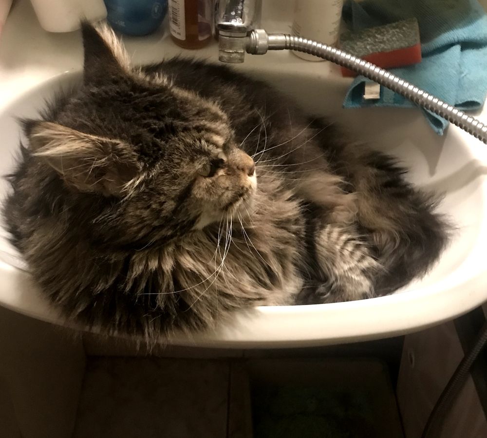 Фотография автора Татьяна Лука