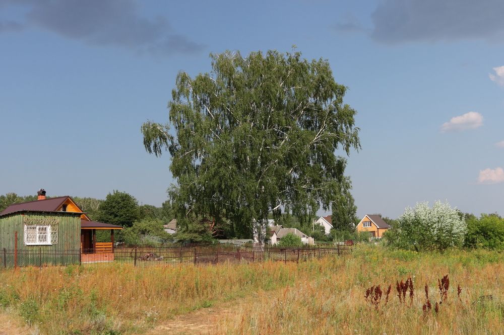 Photograph by Сергей Щербаков