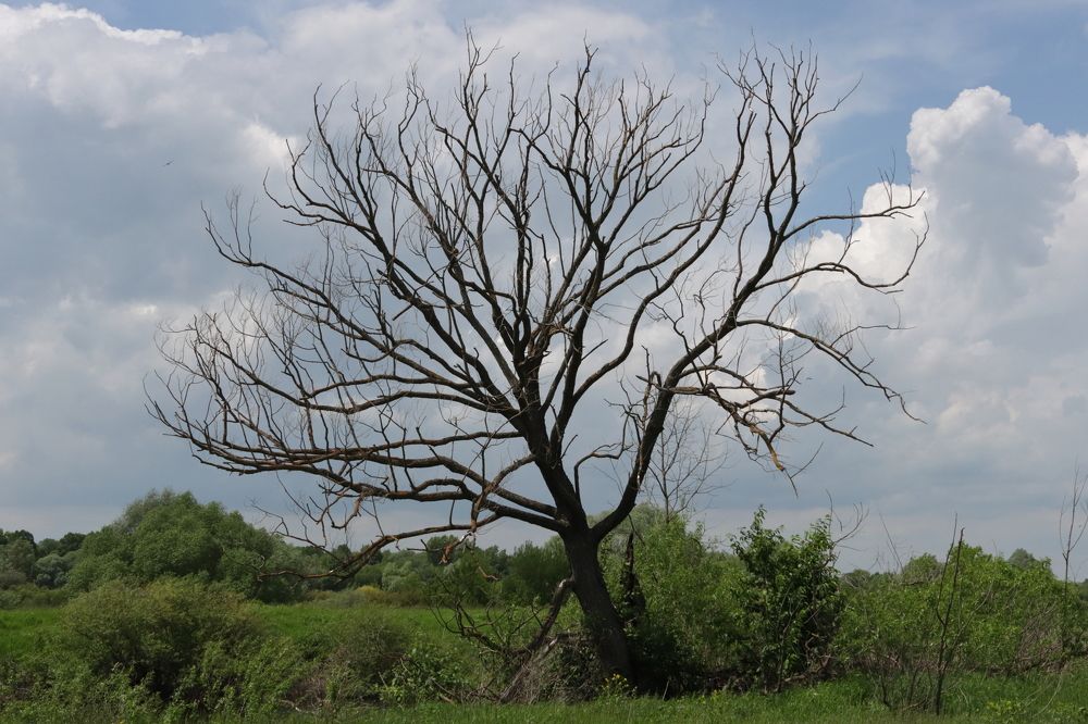 Photograph by Сергей Щербаков