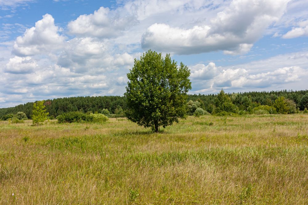 Photograph by Сергей Щербаков