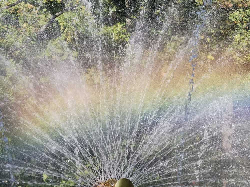 Photograph by Надежда Горчакова