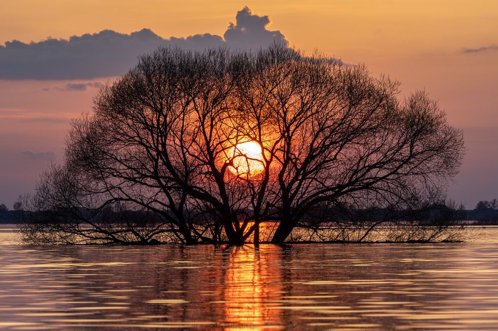 Photograph by Татьяна Белякова