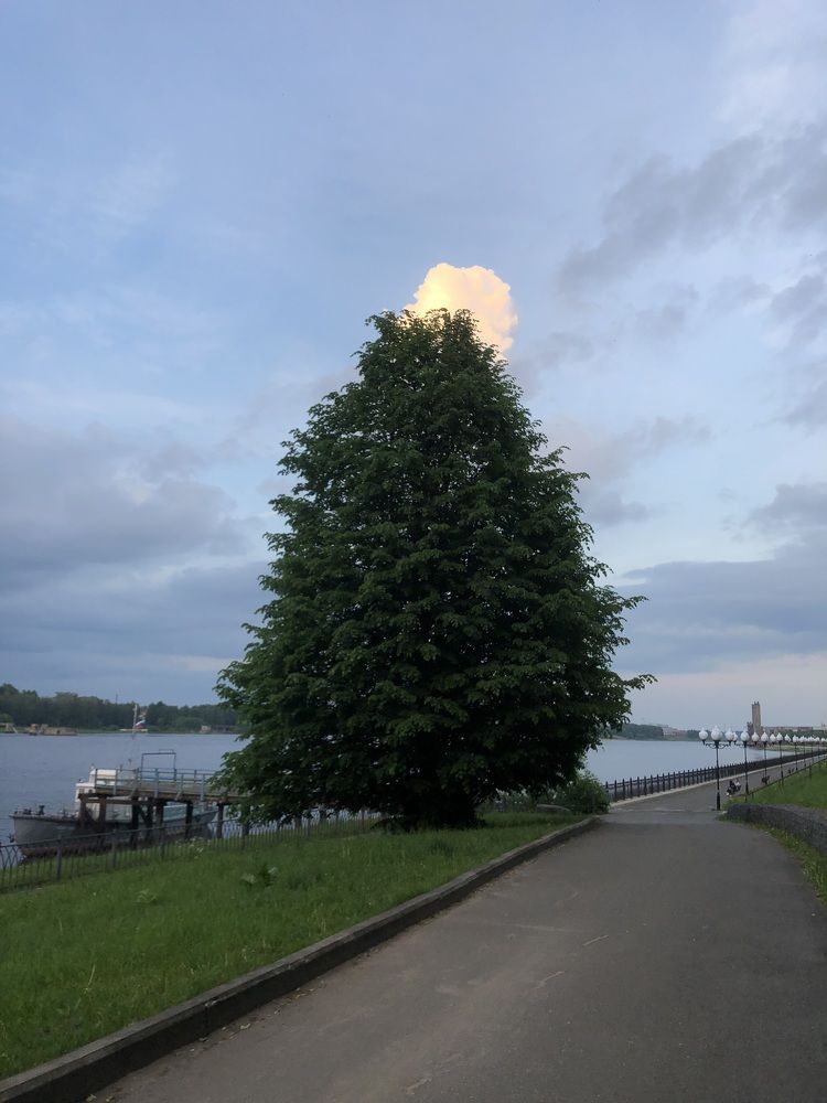 Photograph by Мария Бессмертная