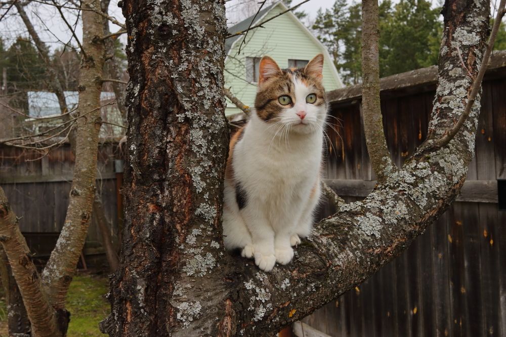 Photograph by Сергей Щербаков