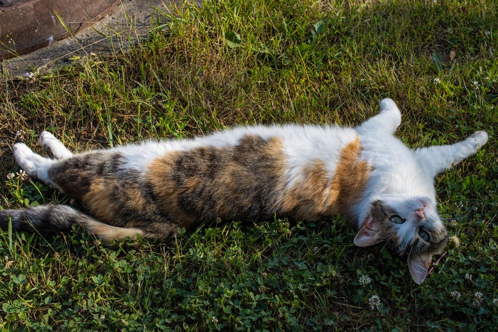 Photograph by Сергей Щербаков