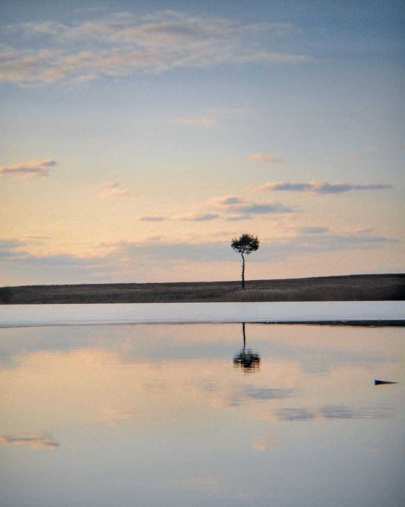 Photograph by Aliaksei Shandalin