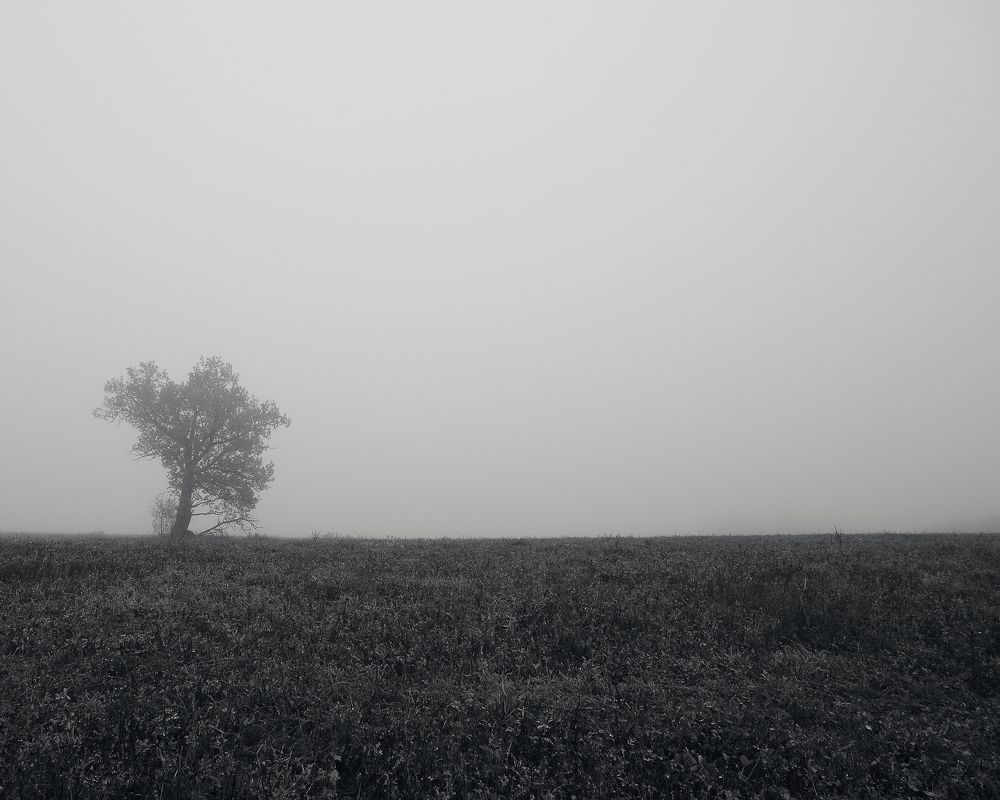 Photograph by Aliaksei Shandalin