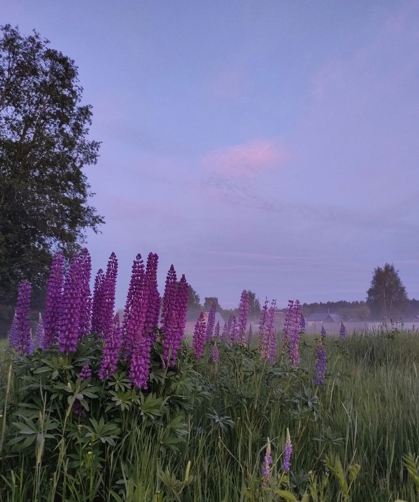 Фотография автора Светлана Смирнова