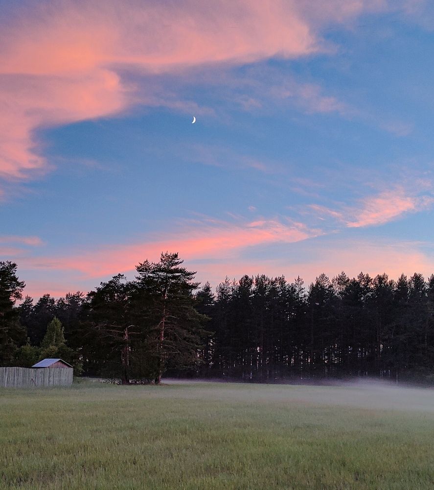 Фотография автора Светлана Смирнова