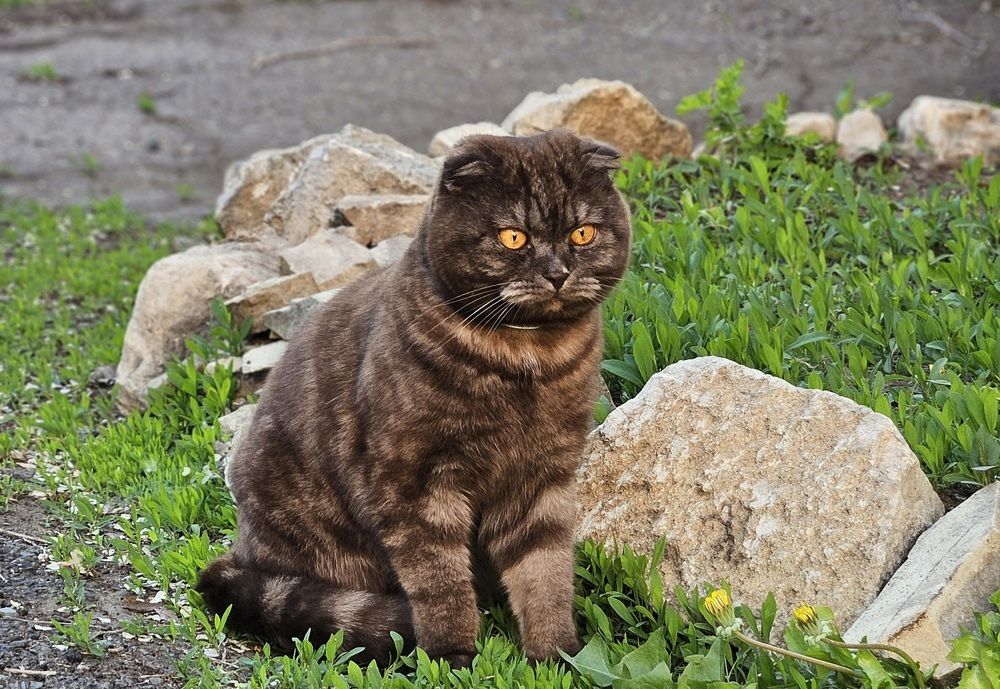 Photograph by Наталья Анисимова