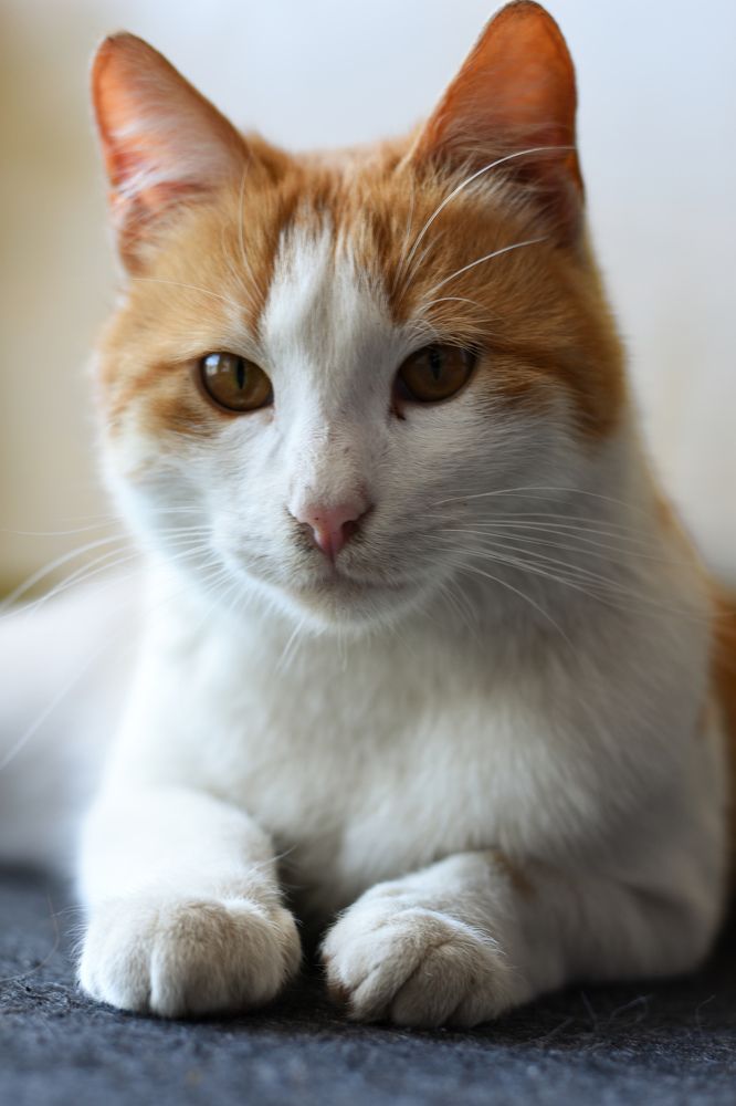 Photograph by Mina Mamdouhi