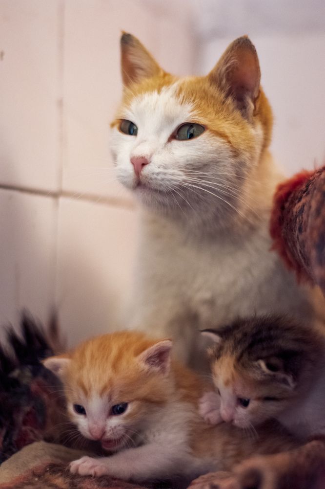 Photograph by Mina Mamdouhi