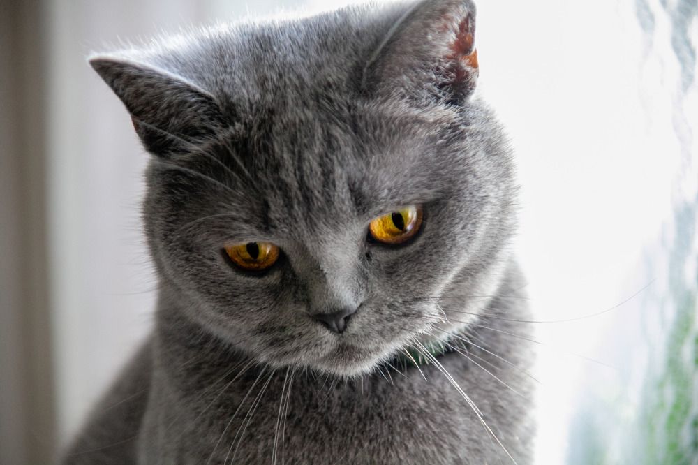 Photograph by Ineta Osipoviča