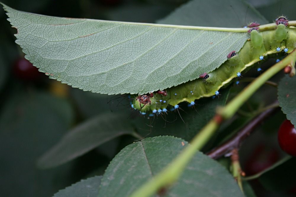 Photograph by Виктория