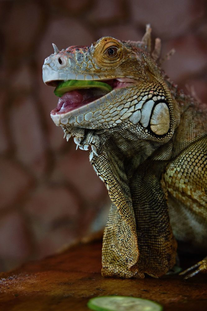 Photograph by Татьяна Рымар